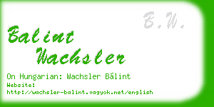 balint wachsler business card