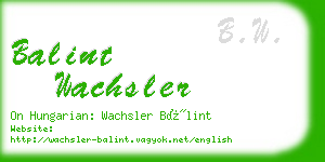 balint wachsler business card